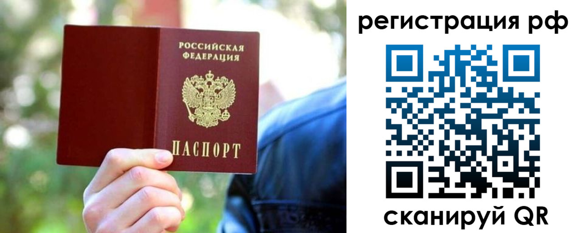 прописка поиск в Кировске